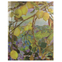 🇺🇸 Peter Pauper 中型硬殼筆記本 Bookbound Journals-規格圖4