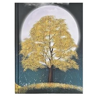 🇺🇸 Peter Pauper 中型硬殼筆記本 Bookbound Journals-規格圖4