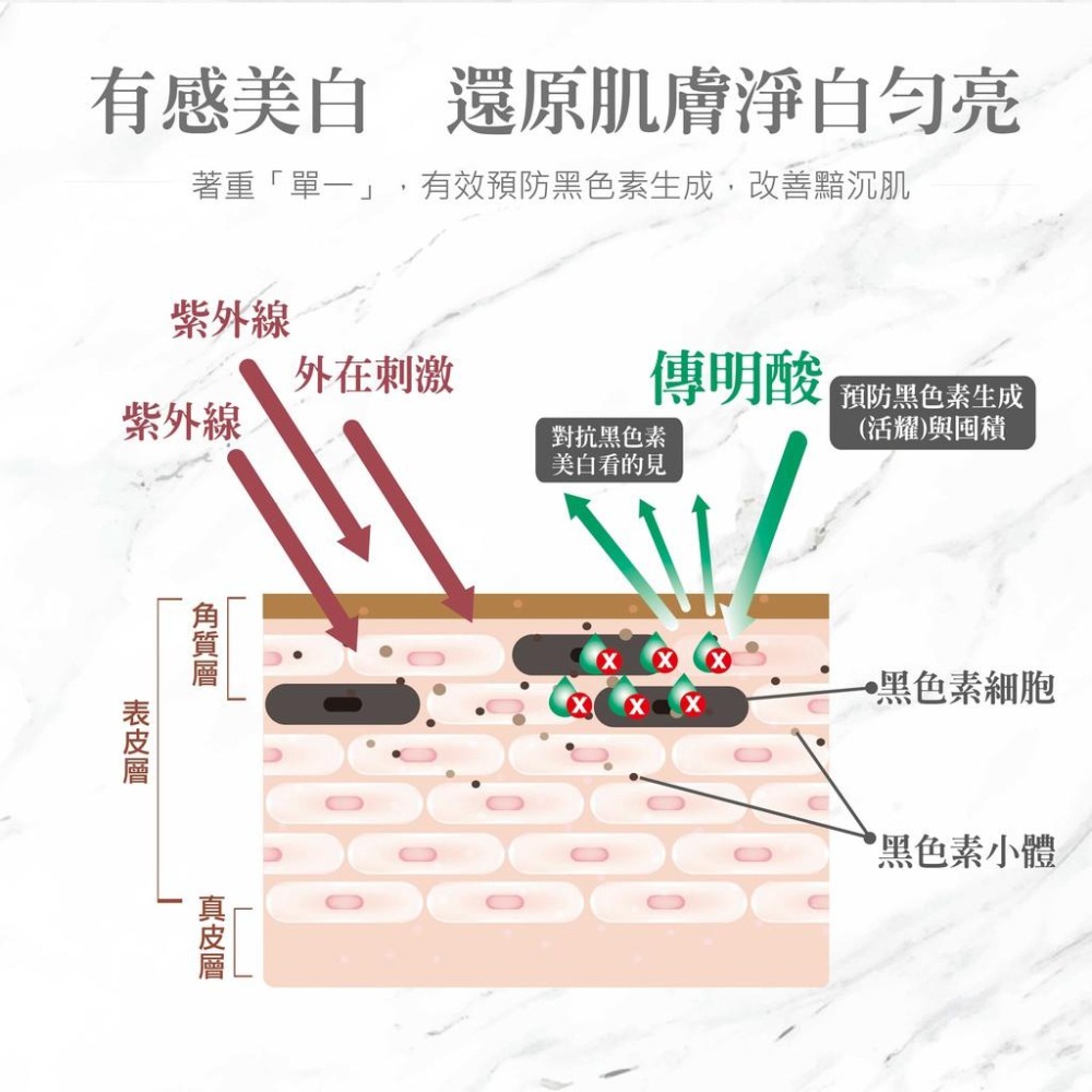 【Shanny萱霓美研】傳明酸極效淨白精華15ml(1入)-細節圖5