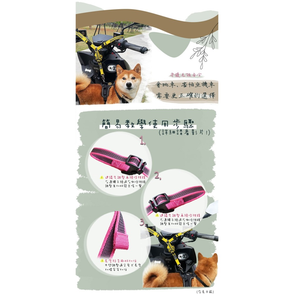 【樺HUA】遛狗神器2.0 毛孩機車牽繩-細節圖3