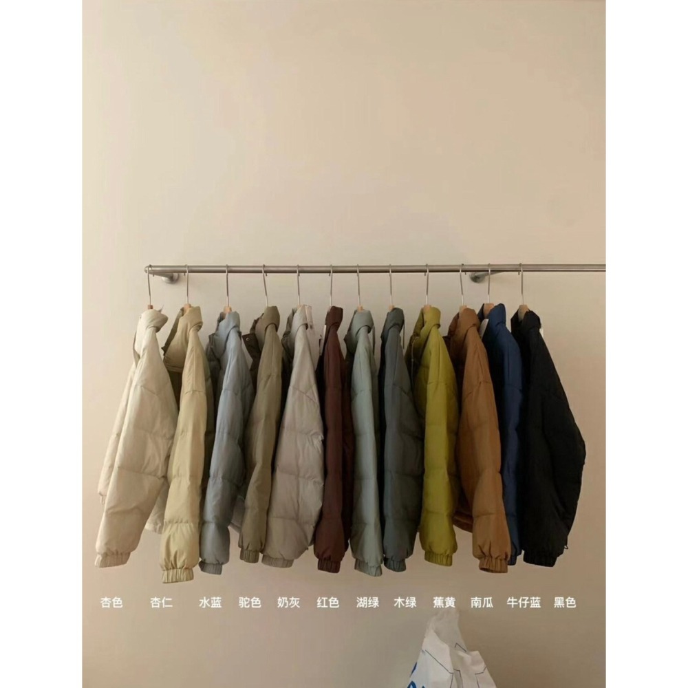✈️杏現貨1-IMSS家//不能沒有木質調90%白鴨羽絨服外套~1.15-細節圖11