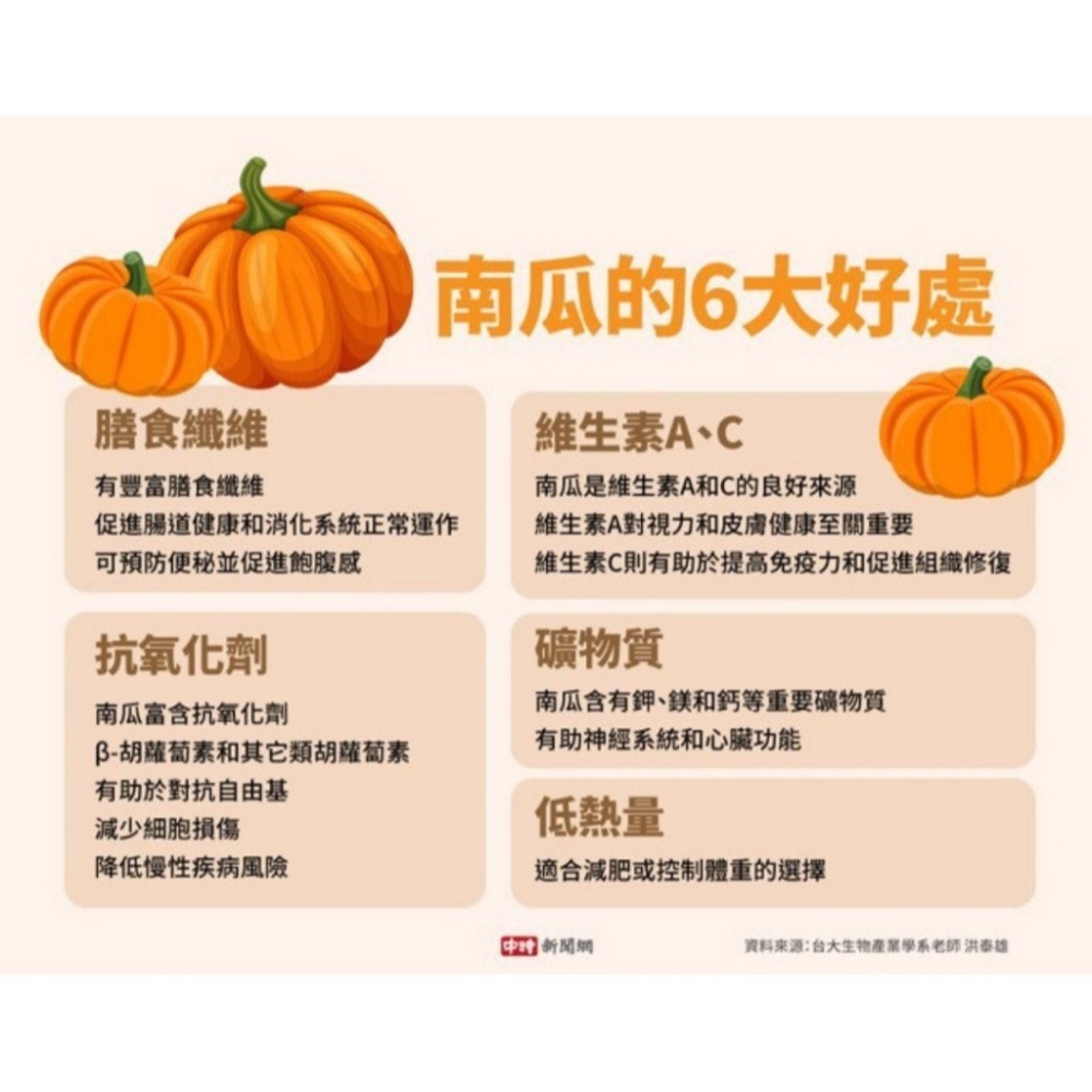 ✈️現貨-韓國🇰🇷 PRETEA 南瓜茶 1.5g*20入/包-細節圖5