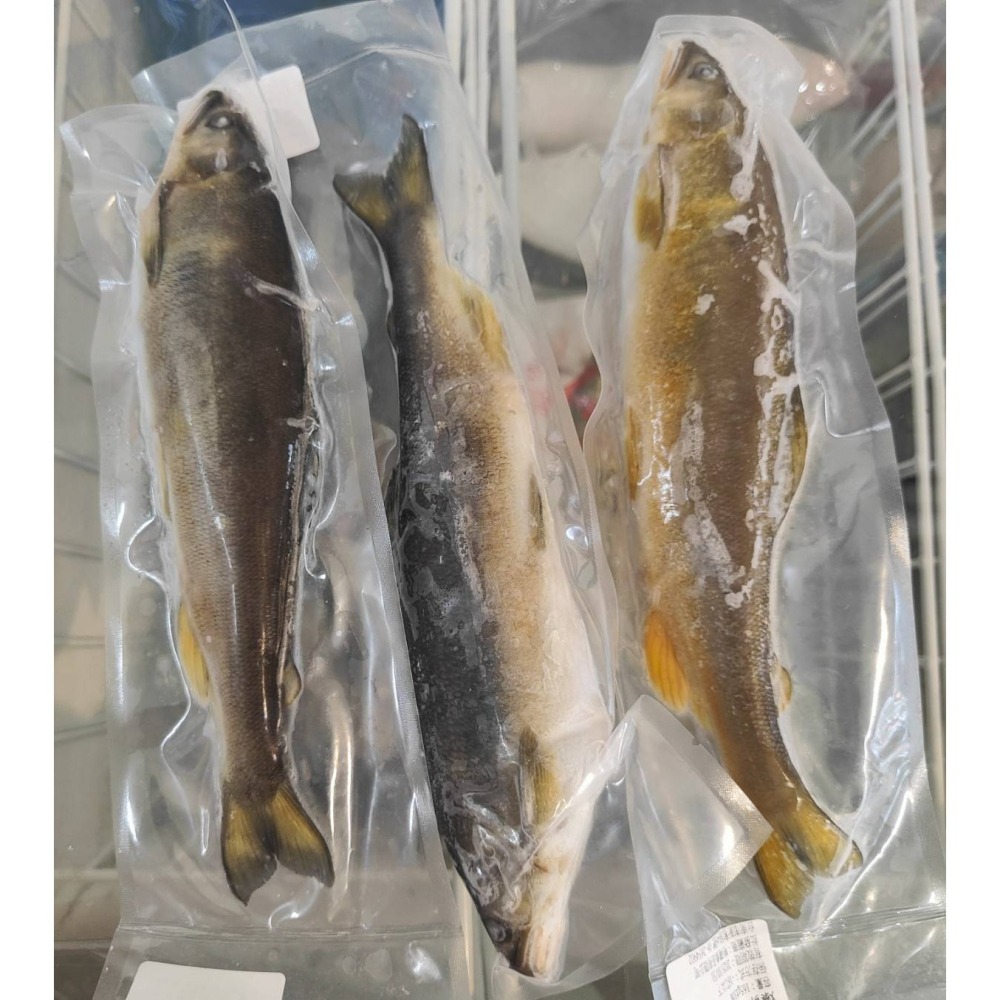 爆卵母香魚-細節圖3