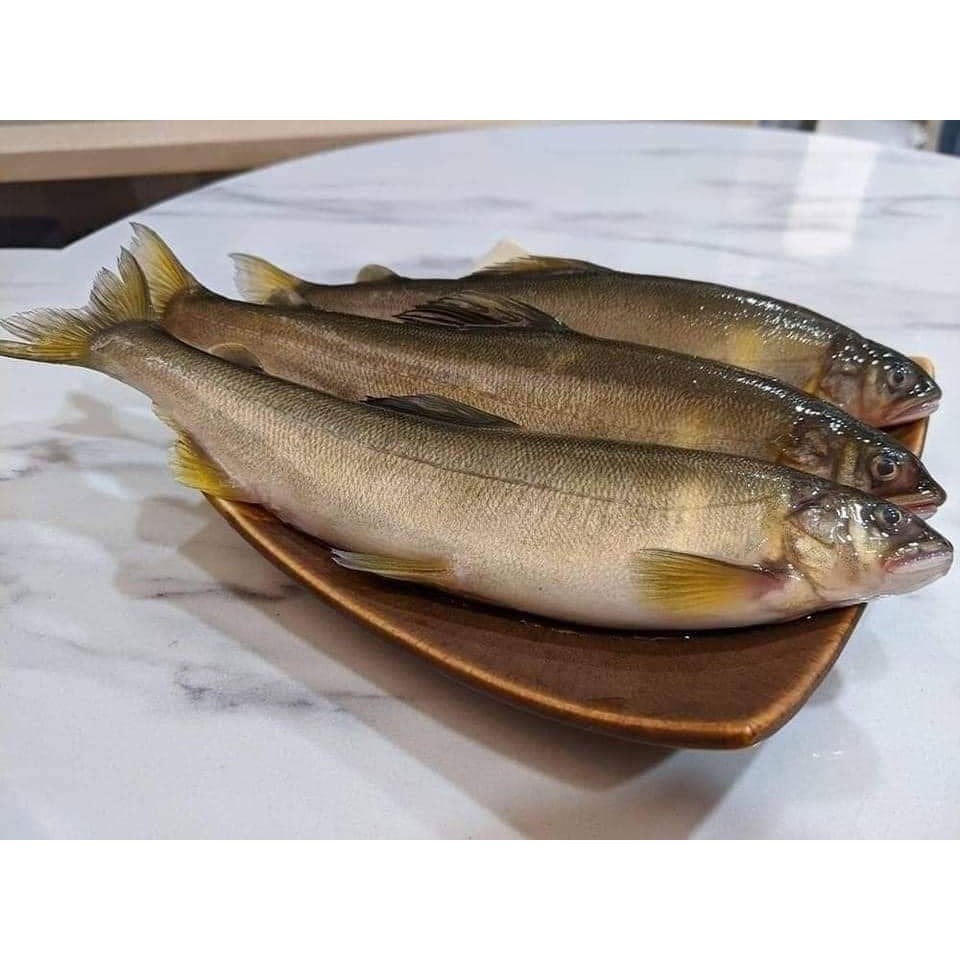 爆卵母香魚-細節圖5