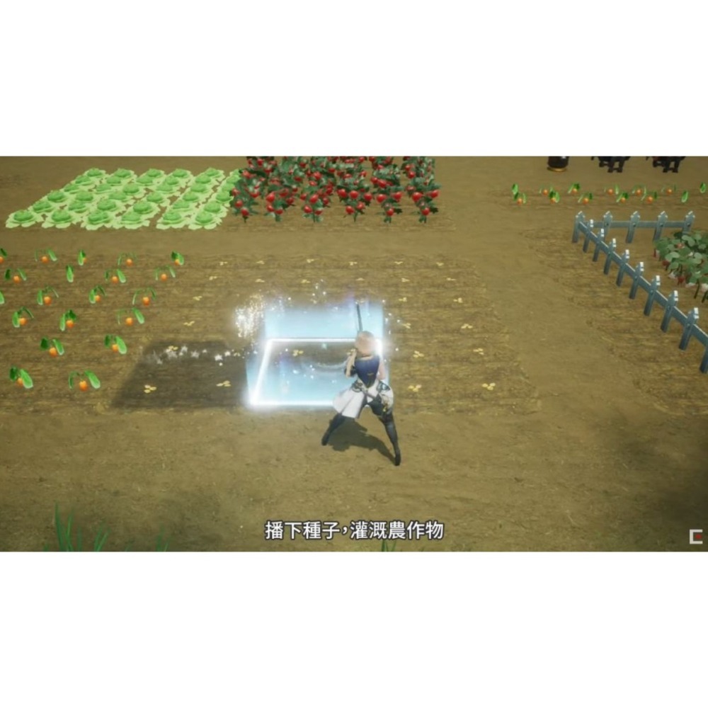 【梓萌電玩】免運 NS Switch 收穫之星 HARVESTELLA 奇幻生活模擬 角色扮演 季節晶石-細節圖3