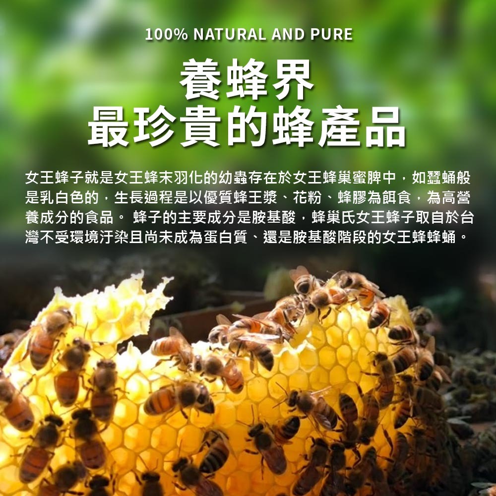 女王蜂子植物膠囊-細節圖4