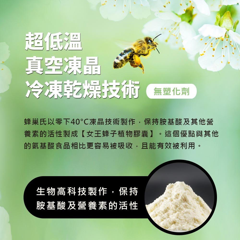 女王蜂子植物膠囊-細節圖5