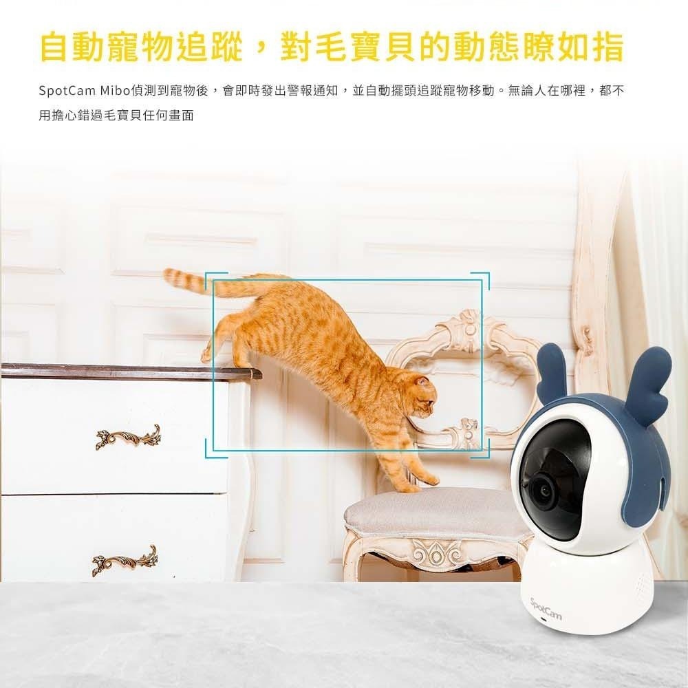 SpotCam Mibo 寵物攝影機 2K高畫質 寵物監視器 自動追蹤寵物 寵物監控 貓狗叫偵測 寵物互動攝影機-細節圖7