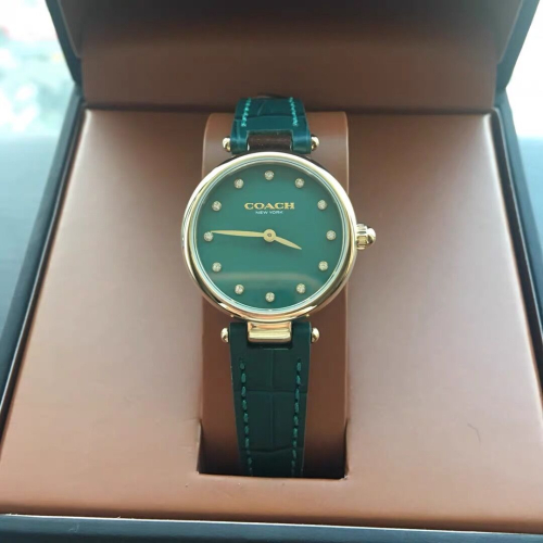 COACH蔻馳手錶 PARK系列女生復古小綠錶 珍珠貝母錶面 時尚氣質防水石英錶 鑲鑽女錶14503534 145035
