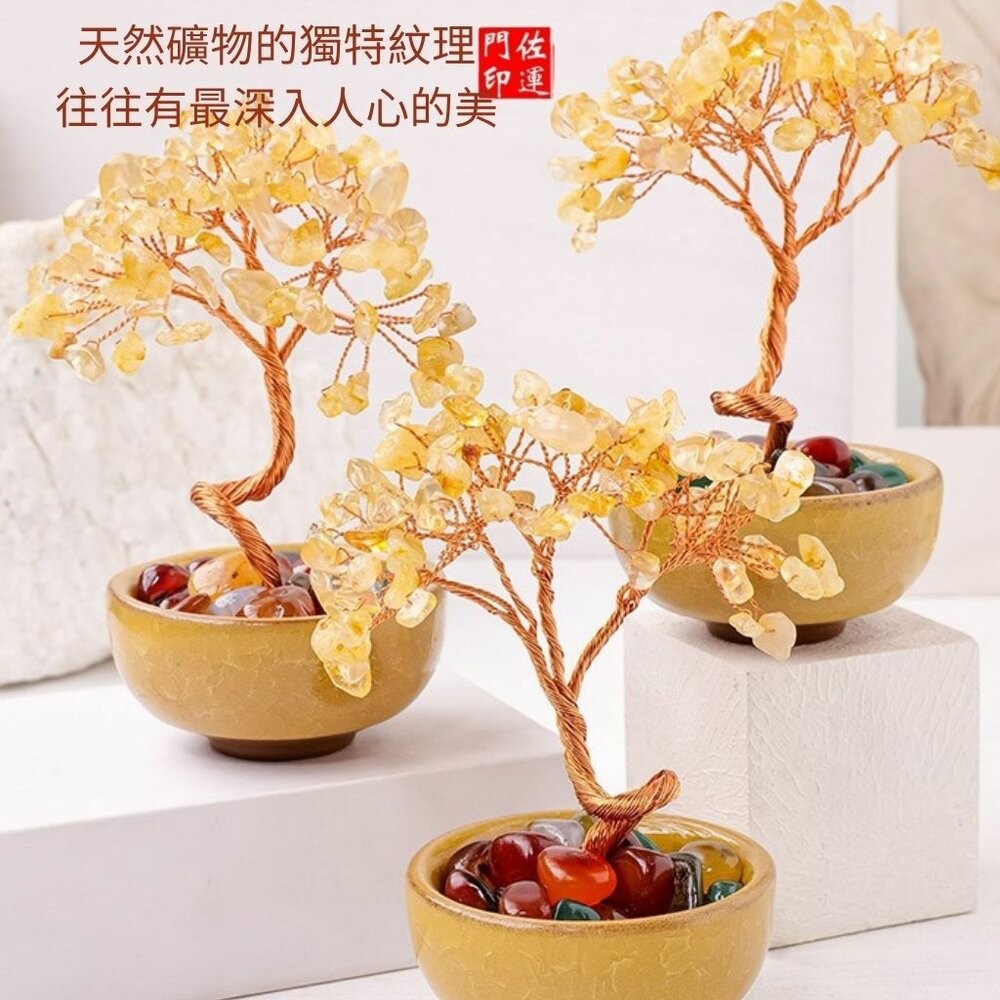 佐運門 專業開光 天然水晶碎石發財樹 家居擺飾 桌面招財擺飾 辦公擺飾 擺件 裝飾品 能量水晶 水晶樹 發財樹 迷你造型-細節圖9