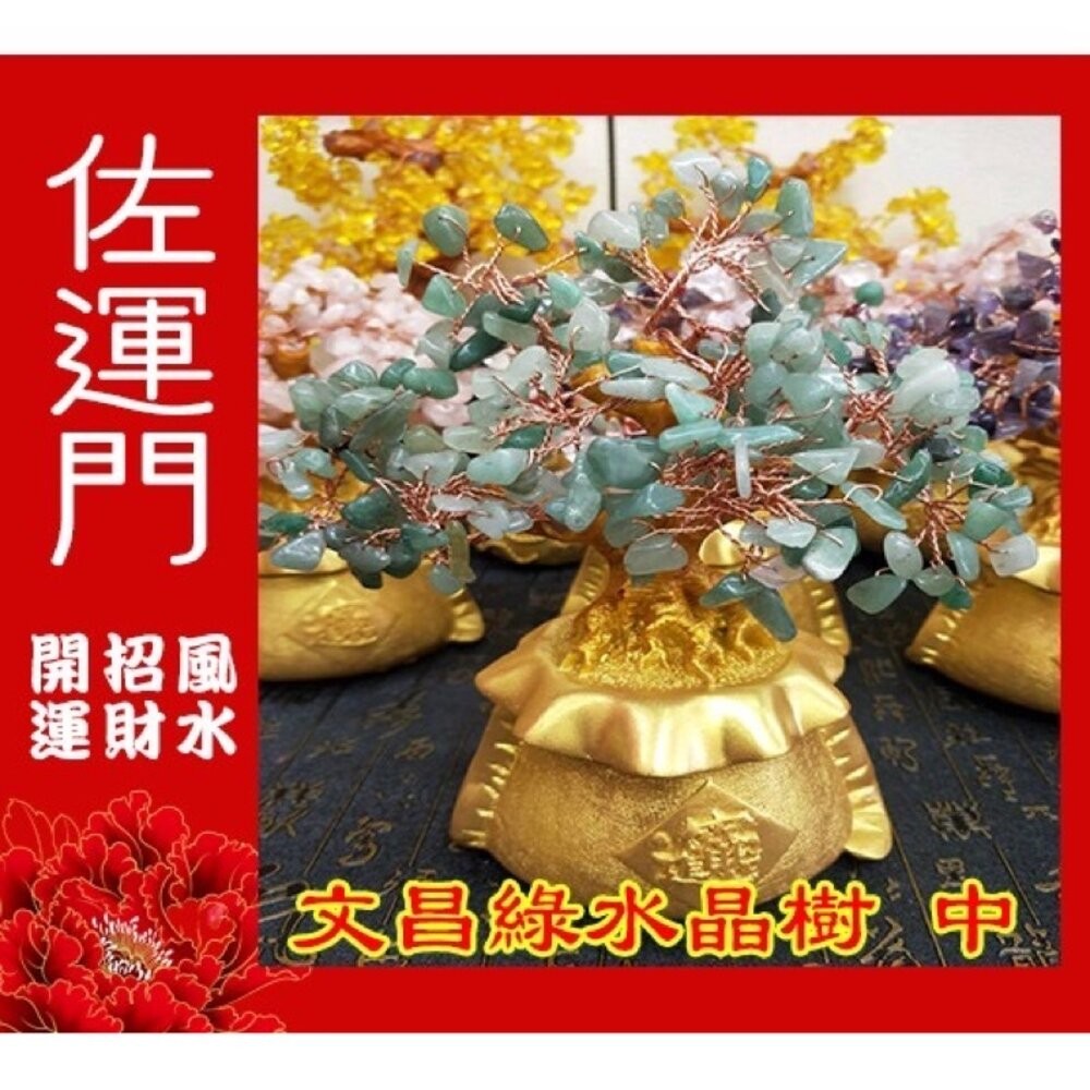 招財樹(綠色)中-文昌