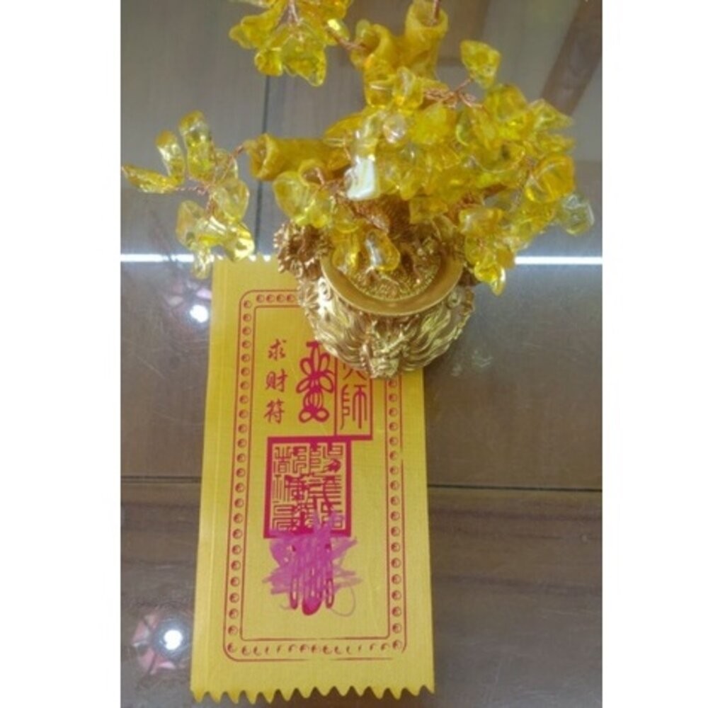 招財樹 -金(招財)