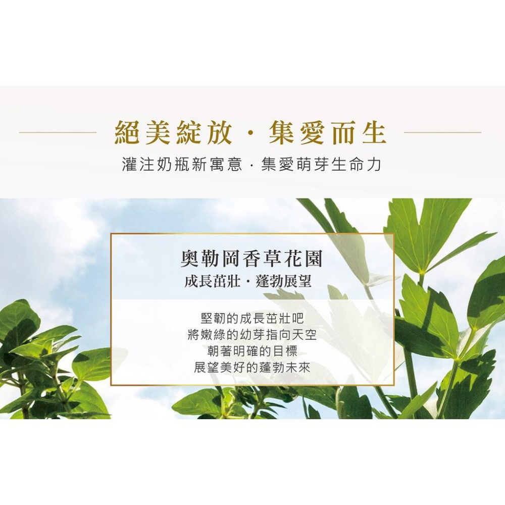 SIMBA小獅王辛巴蘿蔓晶鑽寬口葫蘆玻璃大奶瓶270ml 69251-3-細節圖2