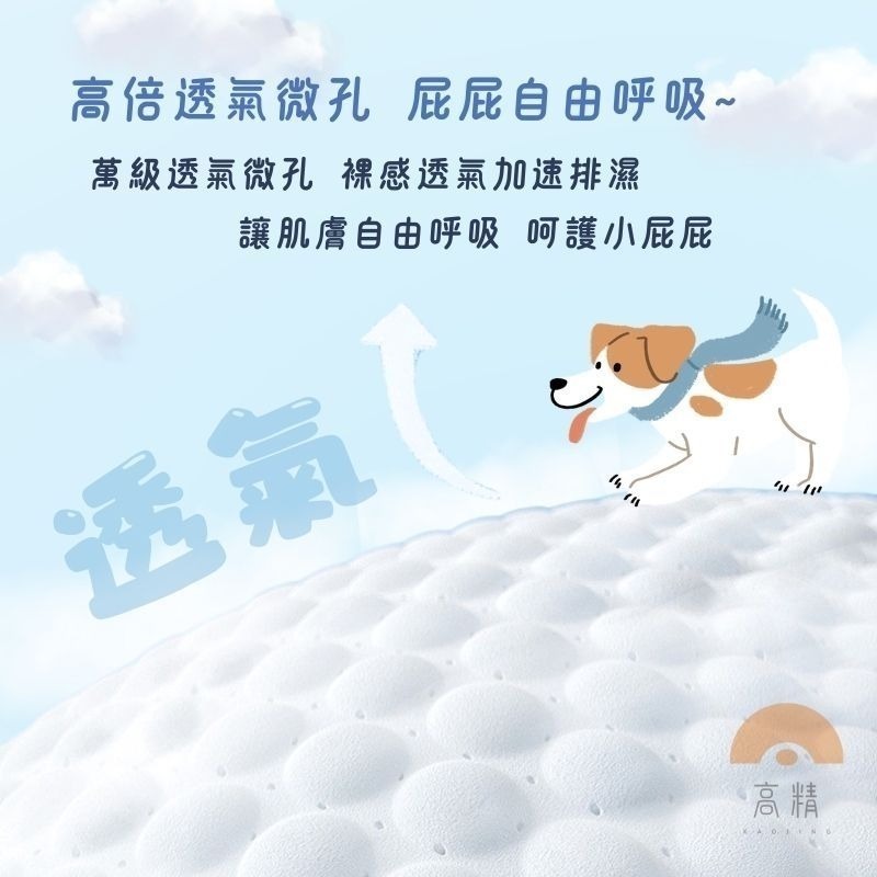 【7-ELEVEN門市團購】寵物尿布6包組 公狗禮貌帶 母狗生理褲 狗狗紙尿褲 寵物生理褲 寵物紙尿褲 狗尿褲-細節圖7