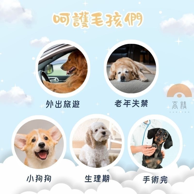 【限時購】寵物尿布6包組 公狗禮貌帶 母狗生理褲 狗狗紙尿褲 寵物生理褲 寵物紙尿褲 狗尿褲-細節圖3