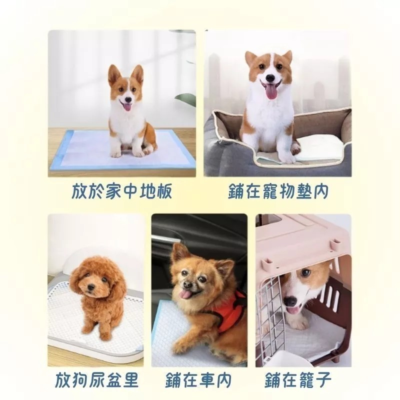 77塊 尿布墊 寵物尿布墊 經濟款/加厚款 寵物尿墊 寵物尿布 狗尿墊 狗狗尿布墊 狗狗尿墊 狗尿布墊 寵物尿布-細節圖6
