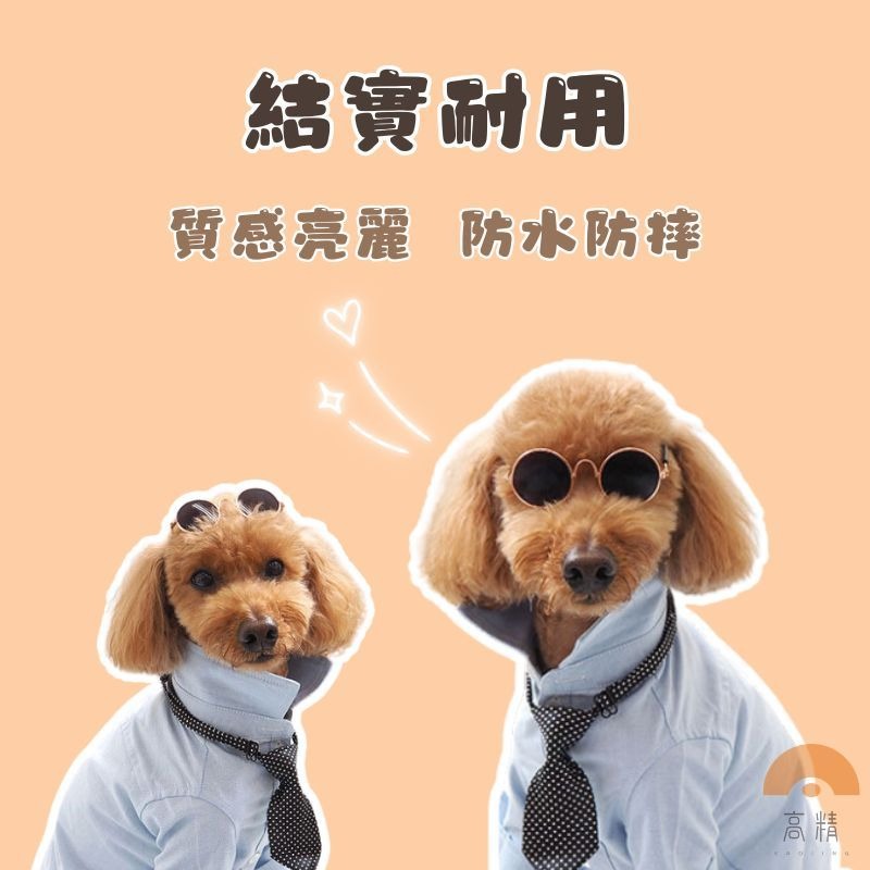 寵物眼鏡 寵物太陽鏡 寵物護目鏡  寵物攝影用品 貓眼鏡  狗眼鏡 寵物太陽鏡 貓太陽鏡 狗太陽鏡寵物-細節圖3
