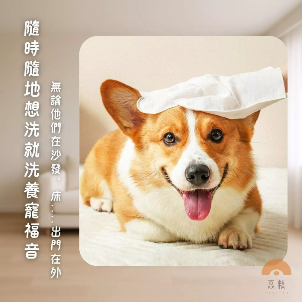 寵物手套 寵物免洗手套濕巾 寵物清潔手 寵物洗澡手套 寵物濕紙巾 寵物去淚痕 免洗手套 寵物清潔 寵物沐浴-細節圖3