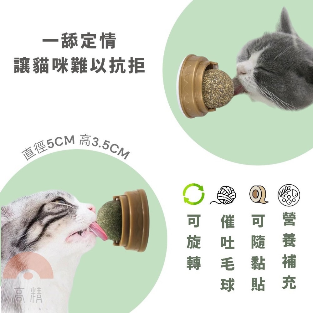 木天蓼 貓薄荷 蟲癭果 拉菲草 1克1塊 木天蓼粉 貓草 貓咪磨牙 貓咪磨牙 貓咪磨牙玩具 貓草玩具 貓薄荷-細節圖2