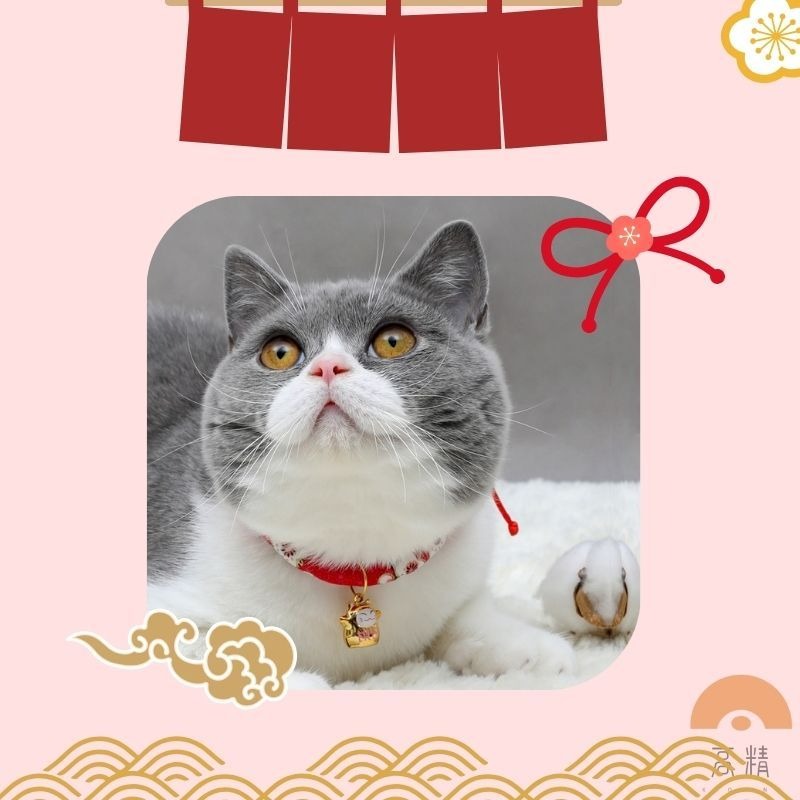 狗項圈 貓項圈 日式項圈 貓咪項圈 寵物項圈 小狗項圈 和風項圈 可調式項圈-細節圖4