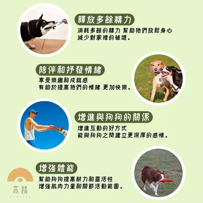 寵物飛盤 狗飛盤 塑膠 矽膠 軟式飛盤 戶外休閒 訓練 寵物互動 寵物飛盤 塑膠飛盤-細節圖2