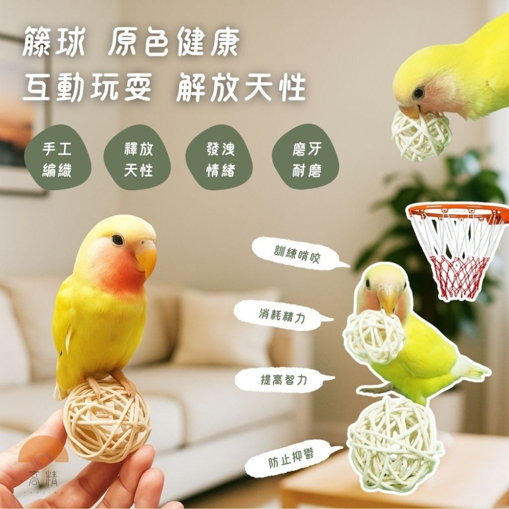 貓咪彩虹鈴鐺球 彩虹球 藤球 EVA 寵物鈴鐺球 貓咪毛絨球 寵物玩具球 貓咪玩具球 寵物彩虹球 貓咪彩虹球-細節圖3