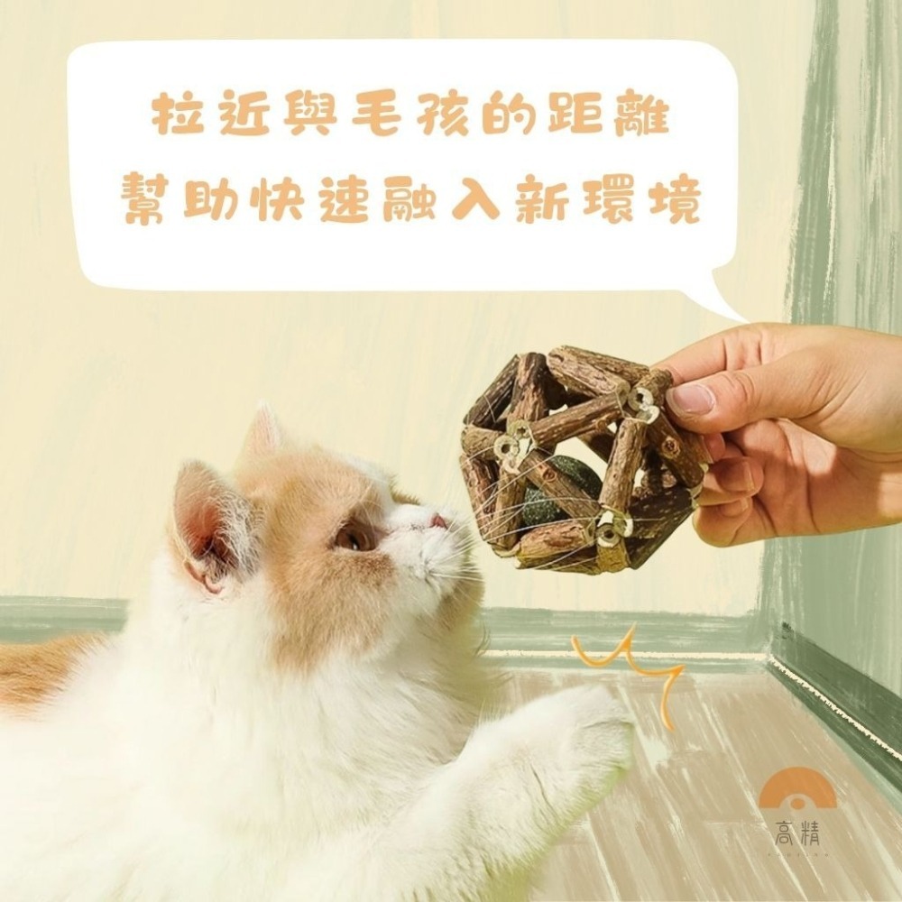 寵物玩具球 木天蓼貓薄荷球 貓咪彩虹鈴鐺球 貓咪磨牙玩具 貓草 木天蓼 磨牙 貓草球 木天蓼粉 貓草玩具 貓薄荷 毛絨-細節圖3