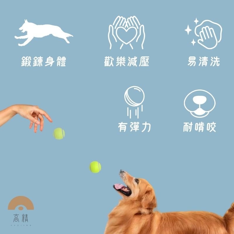 網球 寵物網球 練習網球 狗狗網球 寵物玩具 寵物玩具球 寵物耐咬球-細節圖2