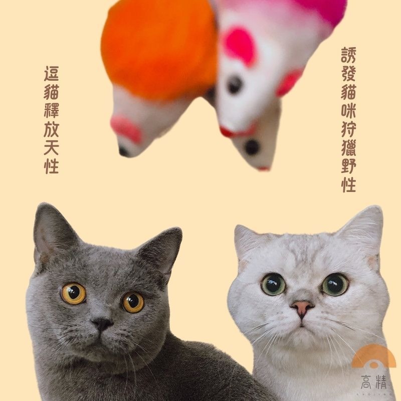 貓咪玩具老鼠 2寸仿真兔皮老鼠 仿真小老鼠 兔毛小老鼠 寵物貓貓玩具 寵物玩具 貓咪互動經典逗貓-細節圖2