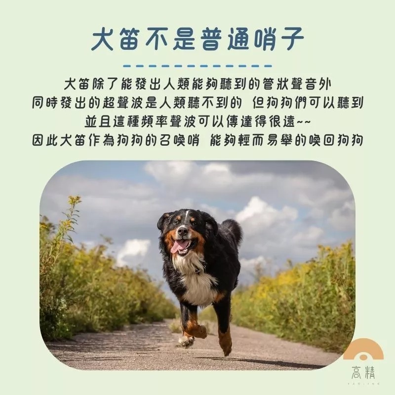 寵物訓練口哨 寵物訓練器 可調節 馴犬笛 寵物狗笛 口哨 哨子 寵物笛 訓犬笛 訓狗笛 狗哨子 訓練寵物-細節圖2