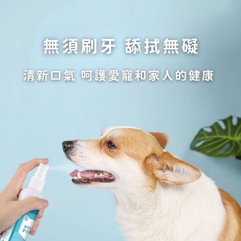 【美國品牌LYEGBONG】犬貓口腔清潔 寵物口腔噴劑 犬貓口腔保健 貓狗牙膏 寵物刷牙 狗狗漱口水-細節圖3