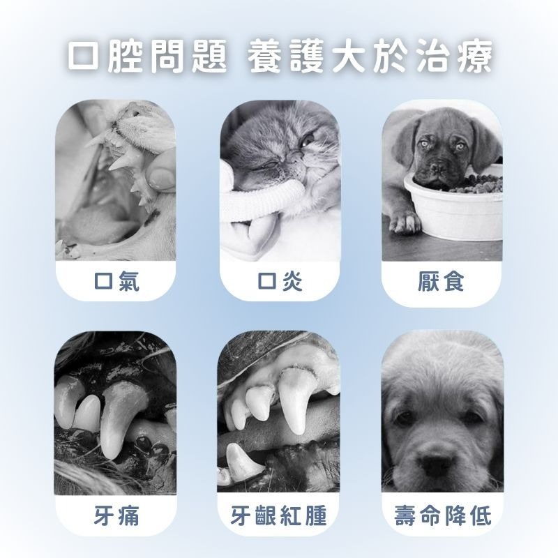 【美國品牌LYEGBONG】犬貓口腔清潔 寵物口腔噴劑 犬貓口腔保健 貓狗牙膏 寵物刷牙 狗狗漱口水-細節圖4