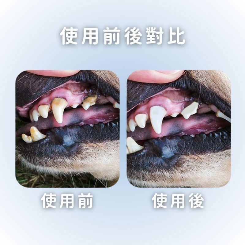 【美國品牌LYEGBONG】犬貓口腔清潔 寵物口腔噴劑 犬貓口腔保健 貓狗牙膏 寵物刷牙 狗狗漱口水-細節圖5