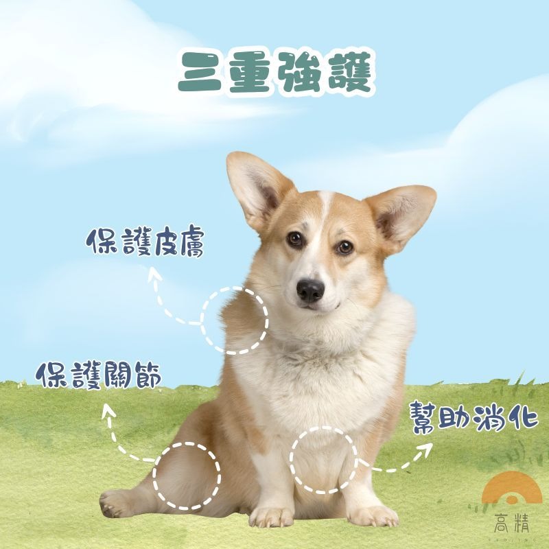 狗狗雞肉條 狗零食 寵物肉乾 筷子雞肉條 寵物肉條 慧心 柯雞棒 狗肉條 雞肉棒 點心棒 狗零食 狗點心棒-細節圖2