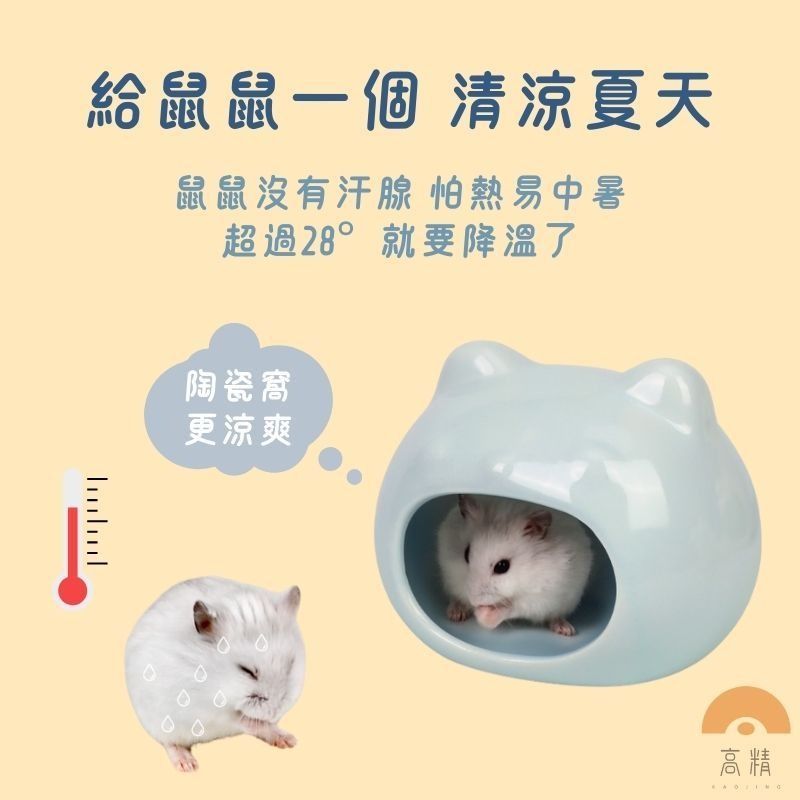 倉鼠陶瓷窩 (貓頭款) 倉鼠用品 倉鼠躲避屋 倉鼠陶瓷屋 倉鼠睡窩 貓型陶瓷窩 消暑聖品 倉鼠家 小寵睡窩-細節圖3