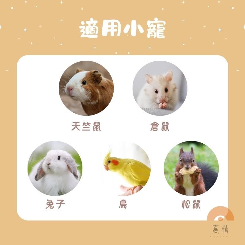 火山岩礦物磨牙石 加鈣磨牙石 鼠兔磨牙石 小寵磨牙石 倉鼠/黃金鼠/三線鼠/天竺鼠/兔子磨牙用品 倉鼠玩具-細節圖2