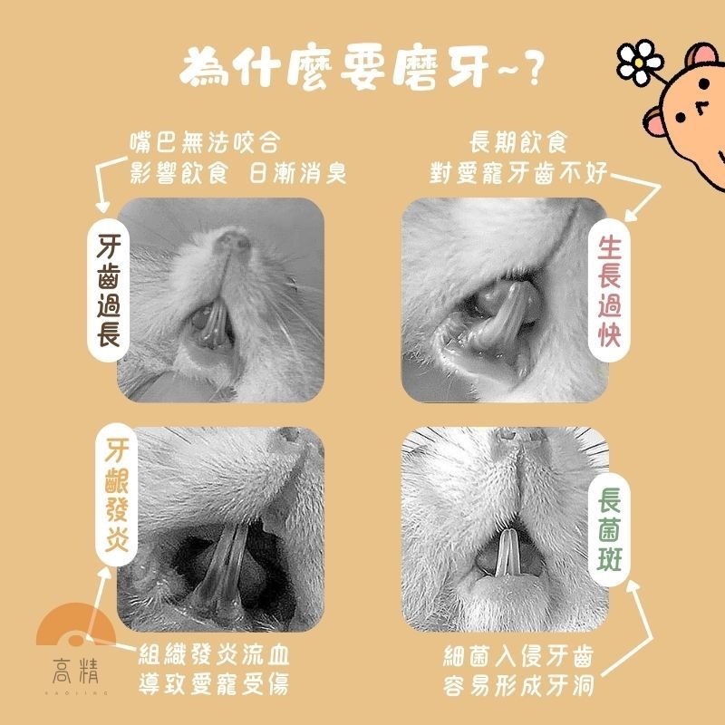 火山岩礦物磨牙石 加鈣磨牙石 鼠兔磨牙石 小寵磨牙石 倉鼠/黃金鼠/三線鼠/天竺鼠/兔子磨牙用品 倉鼠玩具-細節圖3