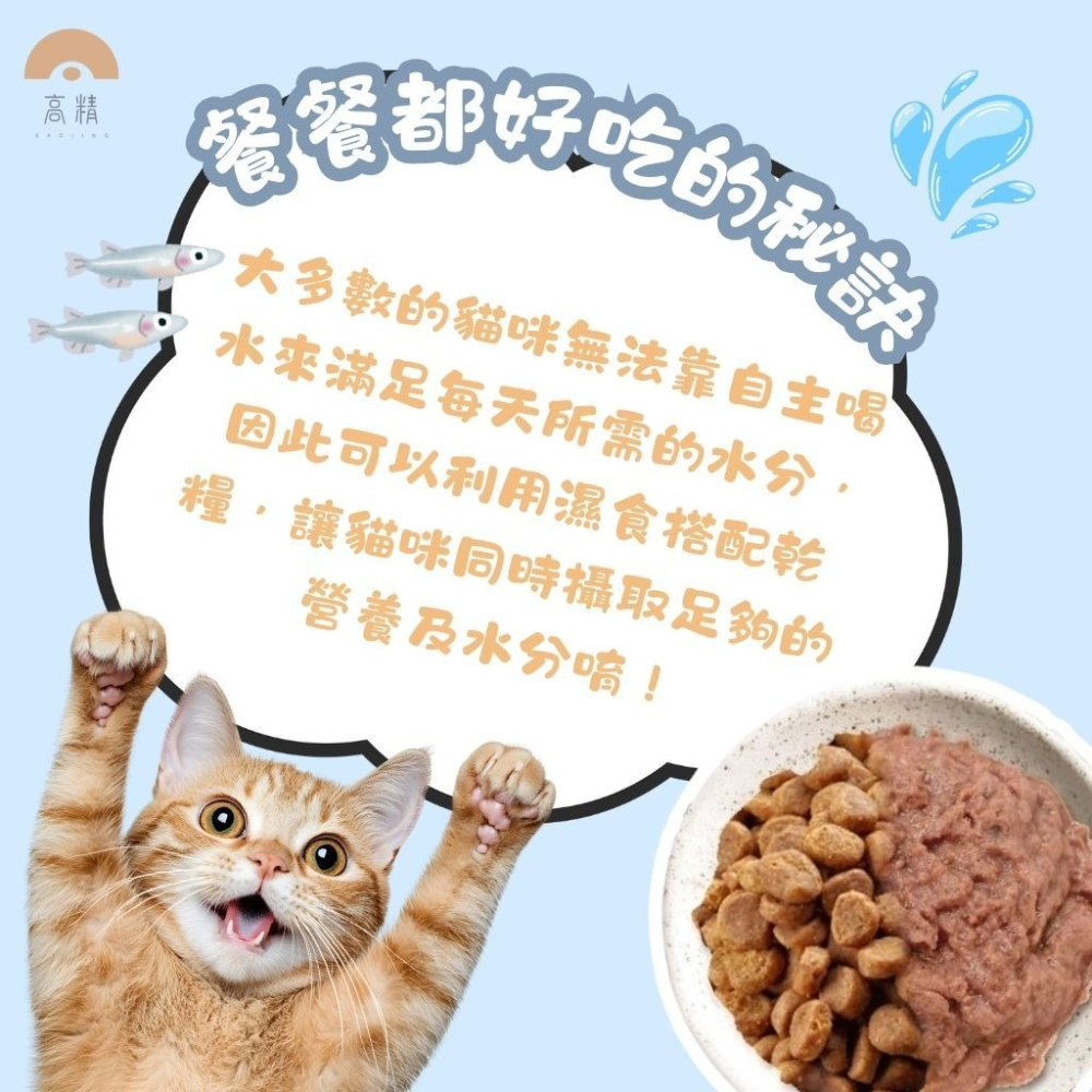 深海 vosto 鮮肉補鐵罐 170g 深海罐 貓罐頭 副食罐 補水罐 貓餐盒 貓食 鮪魚罐 貓零食-細節圖4