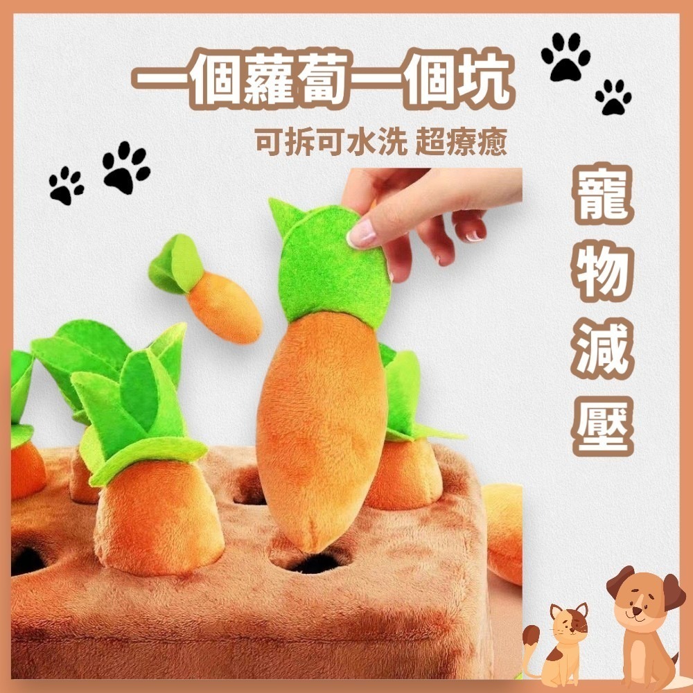 拔蘿蔔玩具 人寵互動玩具 兒童玩具 胡蘿蔔紅蘿蔔 毛絨種菜益智玩具 狗玩具-細節圖2
