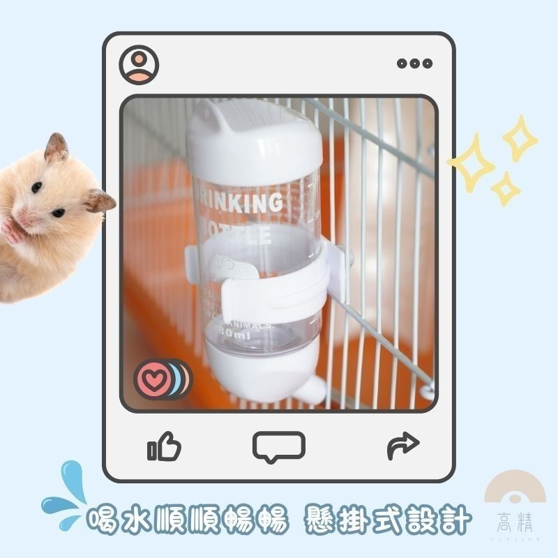 倉鼠飲水器 飲水器 寵物飲水器 倉鼠水樽 倉鼠喝水器 老鼠 倉鼠飲水 倉鼠喝水 倉鼠水瓶-細節圖4