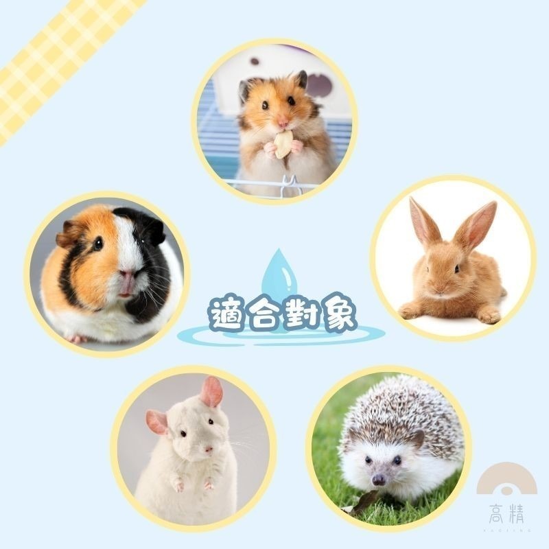 倉鼠飲水器 飲水器 寵物飲水器 倉鼠水樽 倉鼠喝水器 老鼠 倉鼠飲水 倉鼠喝水 倉鼠水瓶-細節圖5