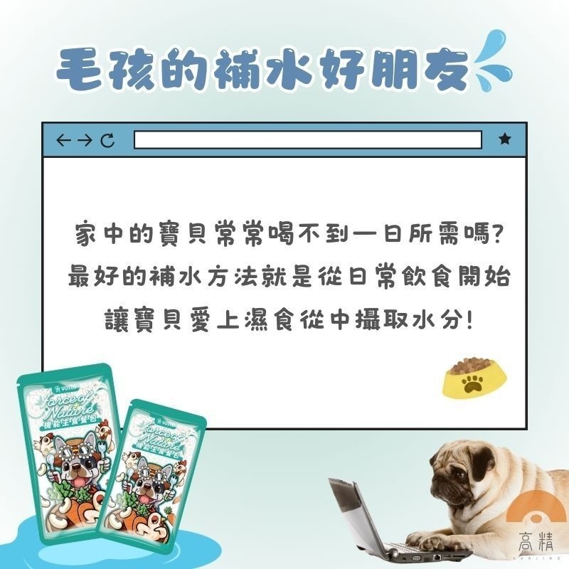 vosto 機能主食狗餐包 寵物餐包 寵物點心 補水餐包 蛋白質補充 狗餐包 犬用機能主食餐包 主食餐包-細節圖2