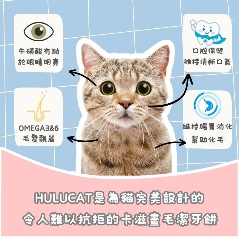 Hulucat 卡滋 化毛配方 潔牙餅 150g 貓零食 貓餅乾 貓餅 潔牙餅 貓咪化毛餅 卡滋化毛潔牙餅-細節圖2