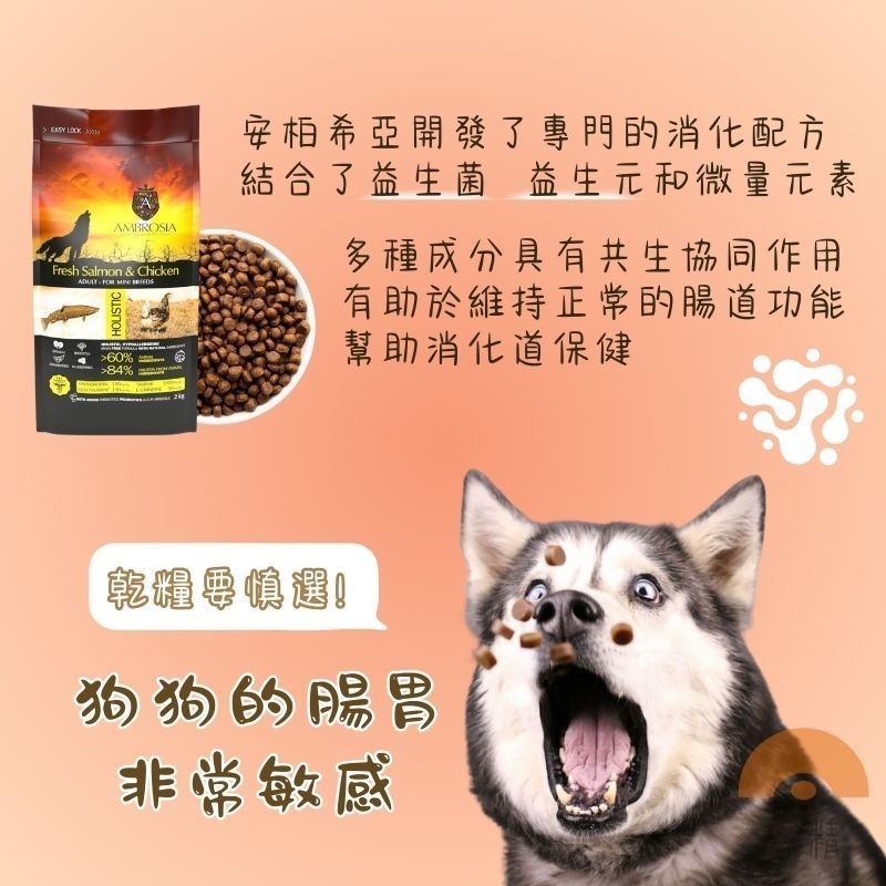 安柏希雅Ambrosia 無穀鮮肉犬糧 狗狗飼料 2kg 無穀狗飼料 小型犬飼料 幼犬飼料 安柏希雅飼 寵物飼料-細節圖2