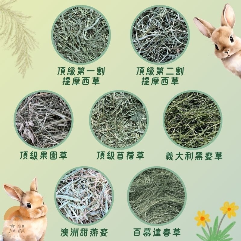 分裝牧草 100g 500g 百慕達 二割 提摩西三割 甜小麥 提摩西 苜蓿草 果園草 義大利黑麥草 黑麥 牧草-細節圖2