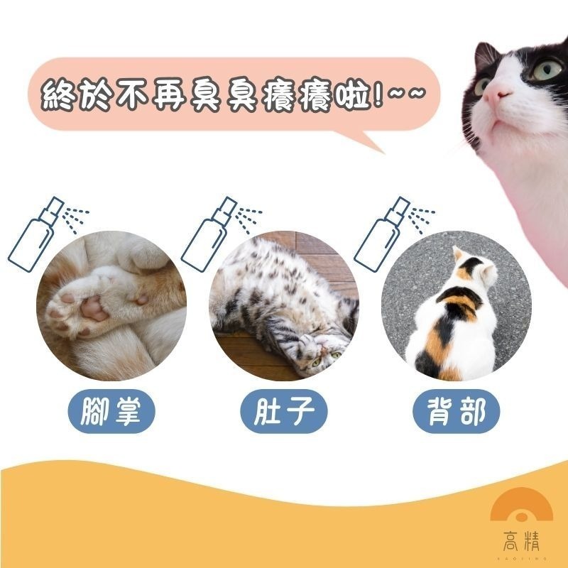 Aether依鈦 除臭抗菌噴霧 狗尿去味劑 殺菌 臭味分解 除臭噴霧 貓砂除臭 室內除臭噴霧 除臭劑 消毒劑 除臭異味-細節圖4