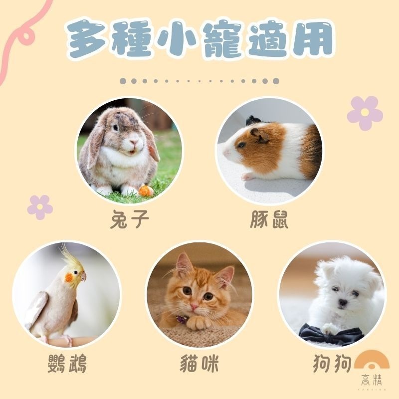 小動物一次性薄膜墊 寵物垃圾袋 寵物用一次性伸縮薄膜 小寵廁所 兔籠用薄膜墊 薄膜套 兔籠薄膜墊 防塵套 伸縮膜-細節圖5