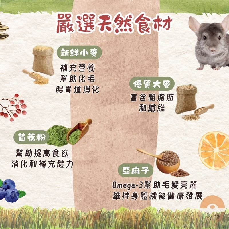 維他寶 Vitapol 營養滿點 小動物飼料400g 小寵主食 倉鼠飼料 黃金鼠 兔子飼料 天竺鼠飼料 小寵飼料-細節圖4