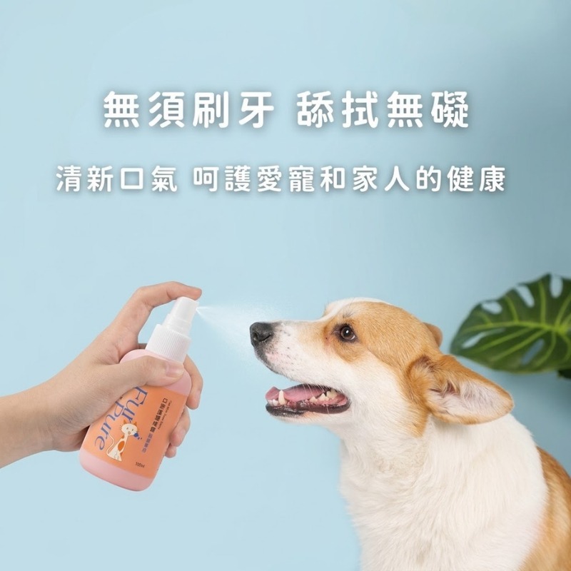 毛寵淨 口腔噴霧 寵物護理 寵物口腔噴霧 潔牙噴霧 口腔清潔 狗用 貓用 口腔護理 寵物潔牙-細節圖5