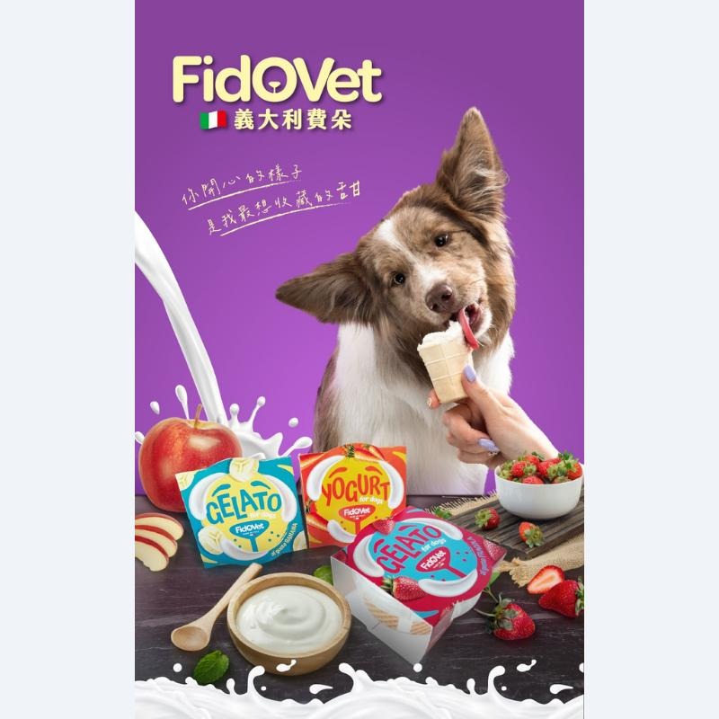 Fidovet 義大利費朵 犬用冰淇淋40g DIY點心 狗狗零食 狗點心 獎勵點心 水果口味 寵物零食-細節圖2